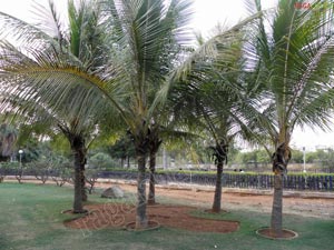 Krishnakanth Park, Hyderabad