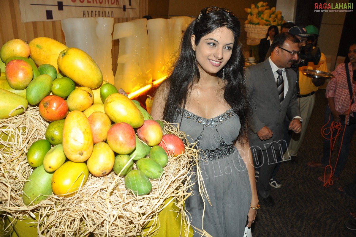Mango Fiesta 2011 at Hotel Golkonda, Hyd