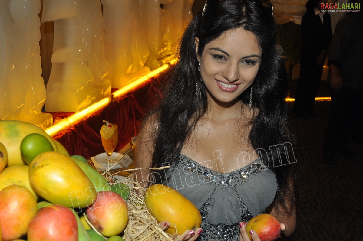 Mango Fiesta 2011 at Hotel Golkonda, Hyd