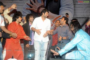 Mr. Perfect Triple Platinum Disc Function