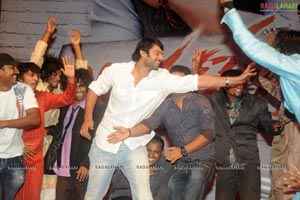 Mr. Perfect Triple Platinum Disc Function