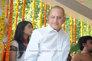 Telugu Cinema SMS Muhurat