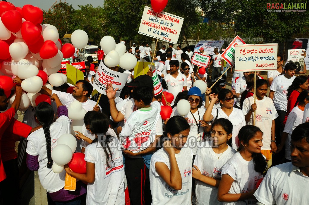 Survive Thalassemics Rally