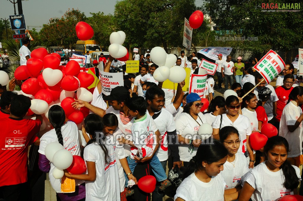 Survive Thalassemics Rally