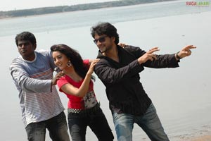 Avin, Zakir, Tripti Sharma