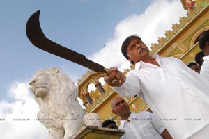 Allari Naresh, Poorna