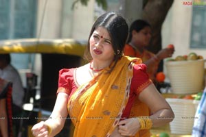 Telugu Cinema Dhanam Photos