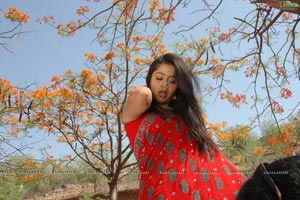 Telugu Cinema Dhanam Photos