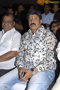 Adhinayakudu Triple Platinum Disc Function Photos