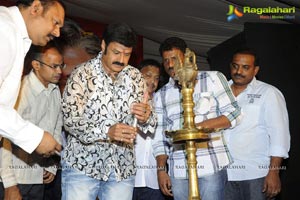 Adhinayakudu Triple Platinum Disc Function Photos