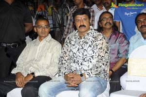 Adhinayakudu Triple Platinum Disc Function Photos