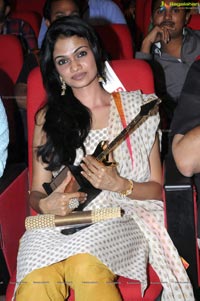 Big Telugu Music Awards 2012