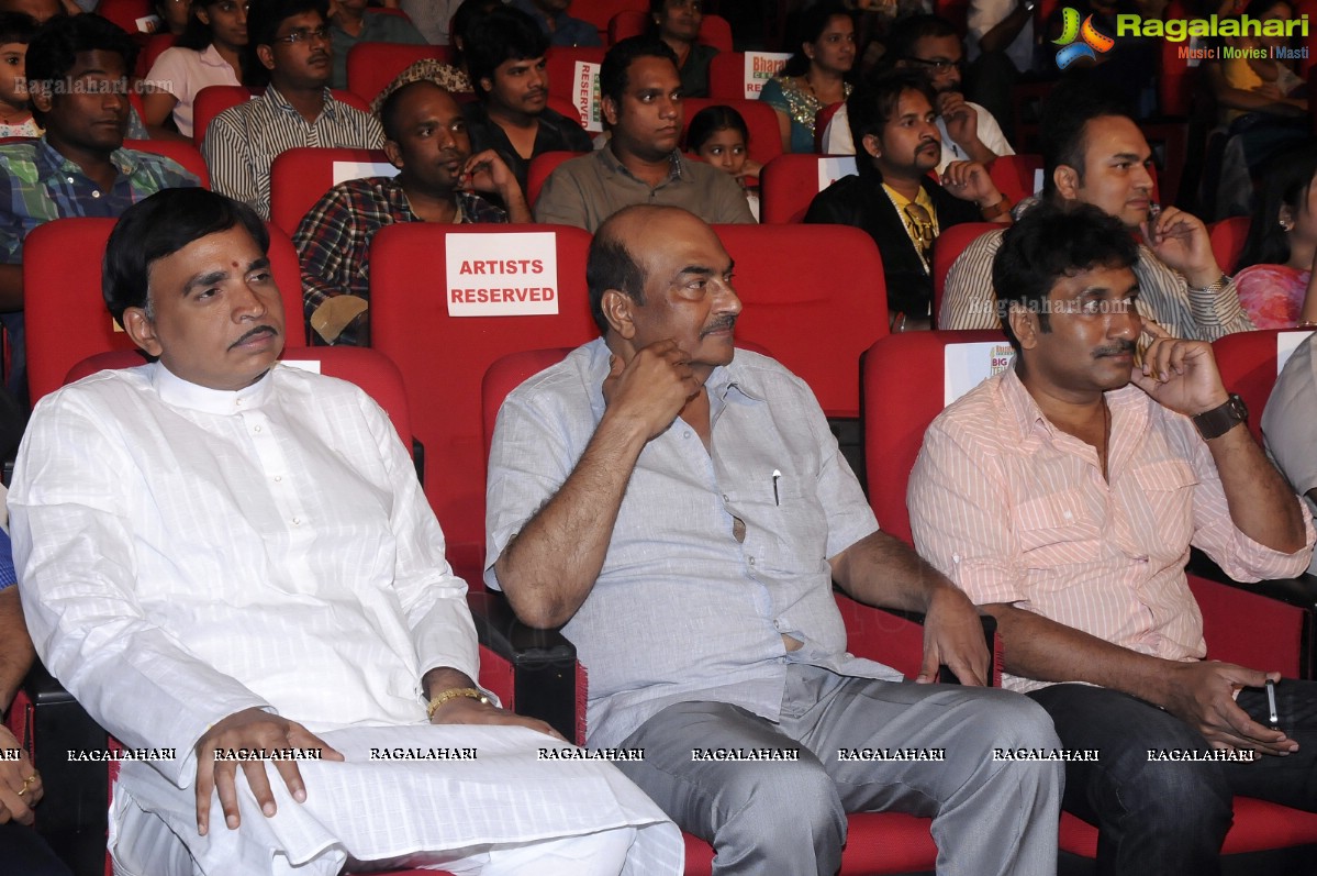 Big Telugu Music Awards 2012