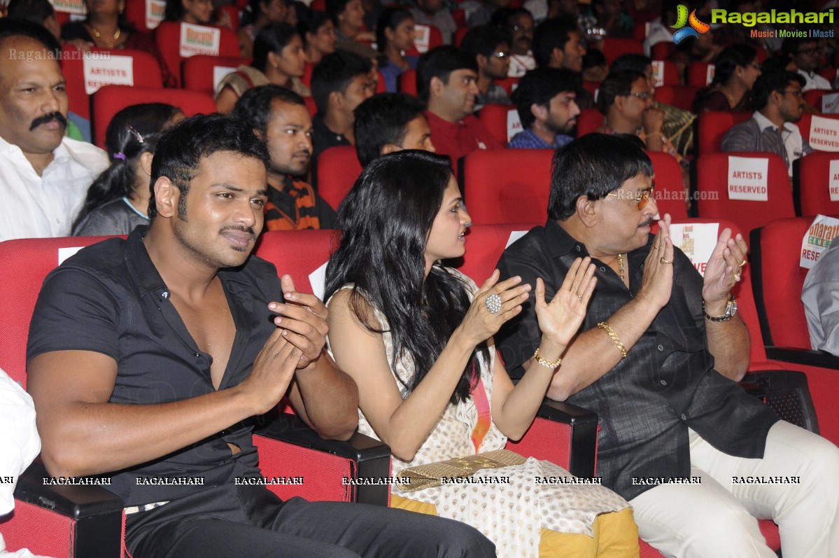 Big Telugu Music Awards 2012