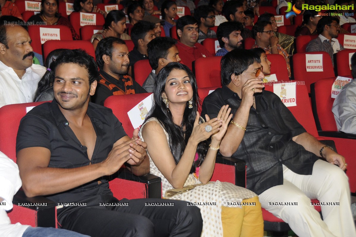 Big Telugu Music Awards 2012