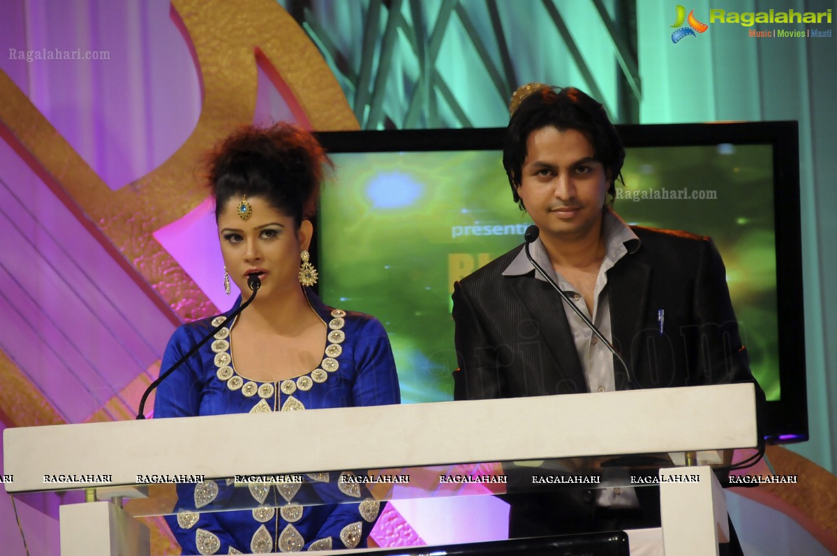 Big Telugu Music Awards 2012