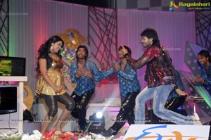 Big Telugu Music Awards 2012