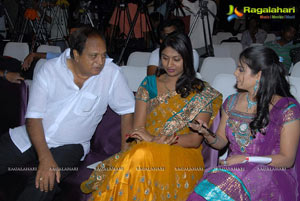 Dammu Successmeet