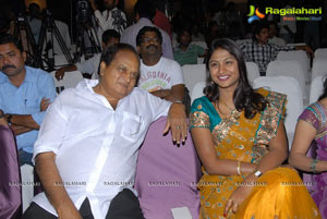 Dammu Successmeet