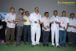 Nitya Menon Dil Se Audio Release