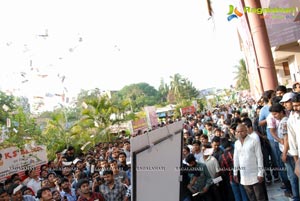 Gabbar Singh Release Hungama at Brahmarambha Theatre