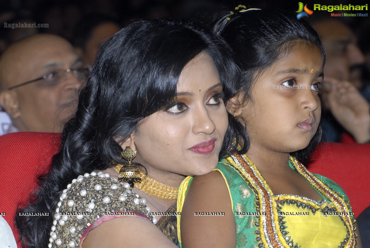 MAA Television Entertainment Awards (TEA)