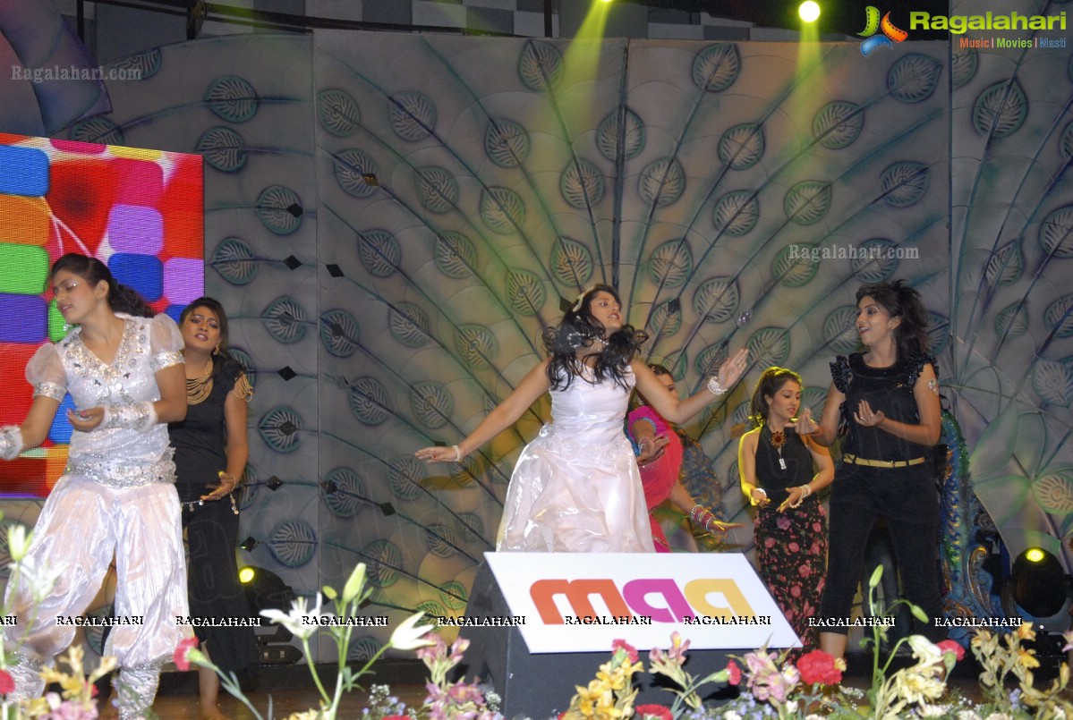 MAA Television Entertainment Awards (TEA)