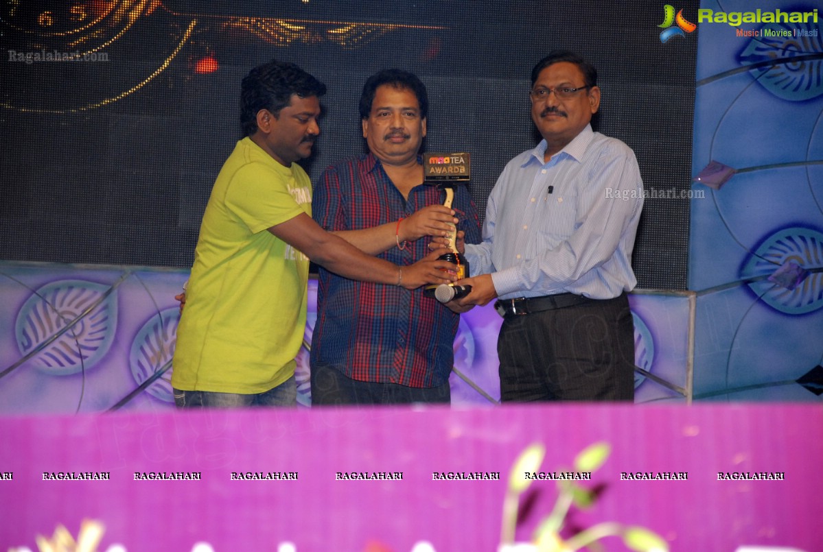 MAA Television Entertainment Awards (TEA)