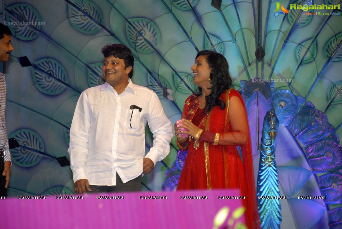 MAA Television Entertainment Awards (TEA)