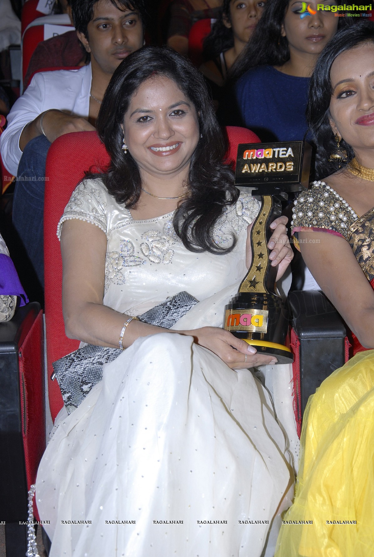 MAA Television Entertainment Awards (TEA)