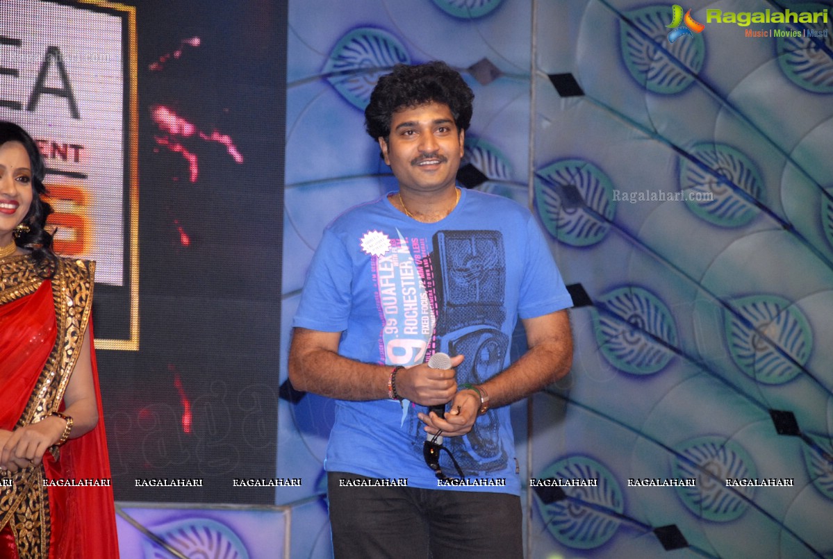 MAA Television Entertainment Awards (TEA)