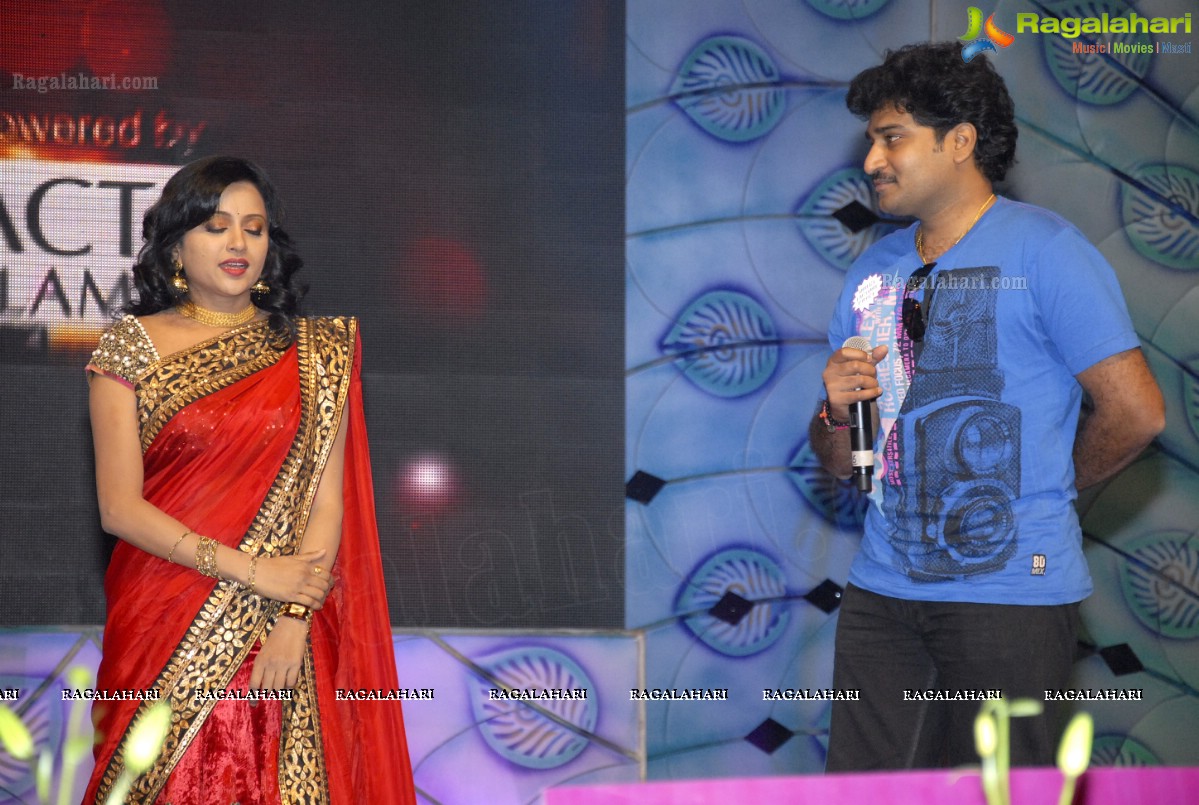 MAA Television Entertainment Awards (TEA)