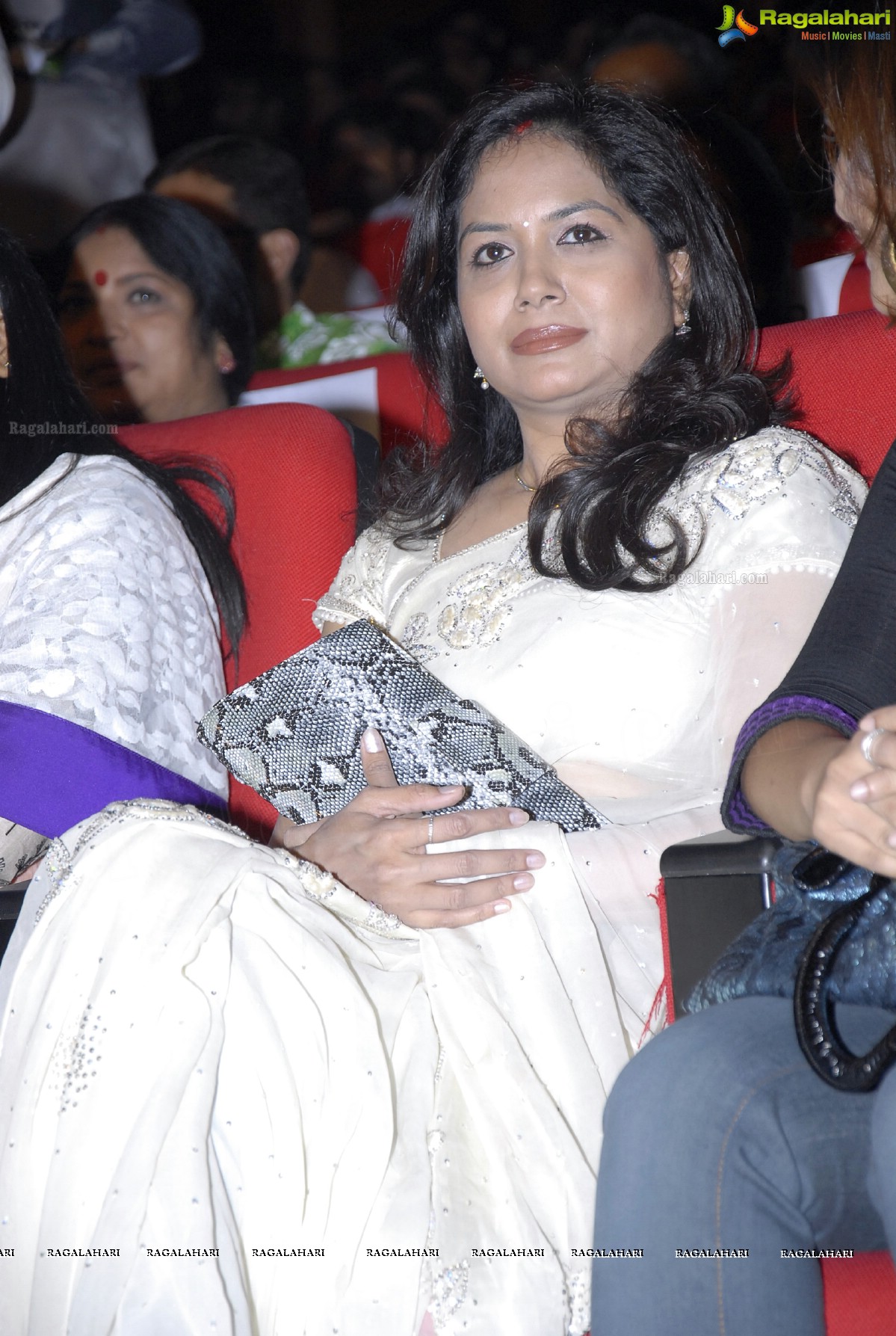 MAA Television Entertainment Awards (TEA)