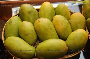 Mango Fest at Melange