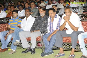 Mr. 7 Audio Release