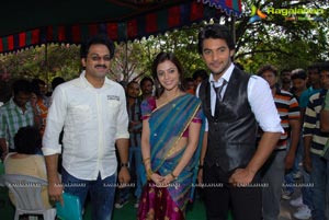 Aadi, Nisha Agarwal's Sukumarudu Muhurat