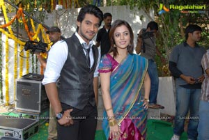 Aadi, Nisha Agarwal's Sukumarudu Muhurat