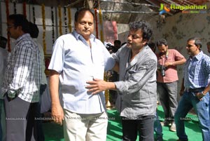 Aadi, Nisha Agarwal's Sukumarudu Muhurat