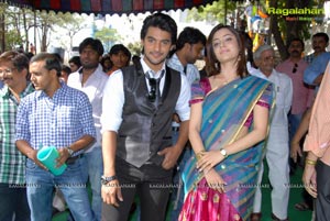 Aadi, Nisha Agarwal's Sukumarudu Muhurat