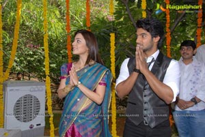 Aadi, Nisha Agarwal's Sukumarudu Muhurat