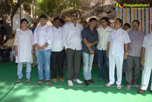 Aadi, Nisha Agarwal's Sukumarudu Muhurat