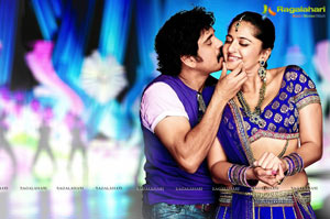 Nagarjuna, Anushka Damarukam  Photos