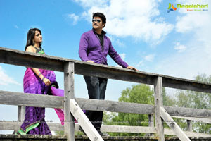 Nagarjuna, Anushka Damarukam  Photos