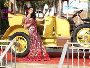 Neeru's Kohinoor Collection HD Brochure