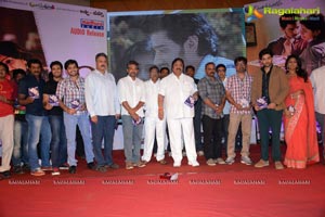 Anthakamundhu Aa Taruvata Audio Release Photos