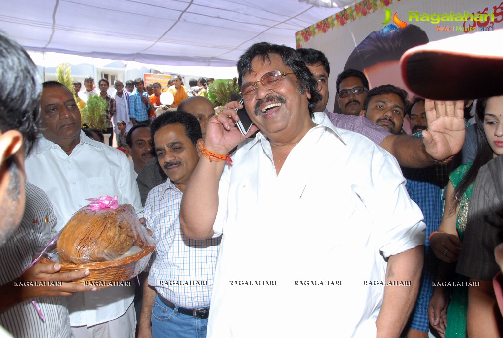 Dasari Narayana Rao 69th Birthday Celebrations