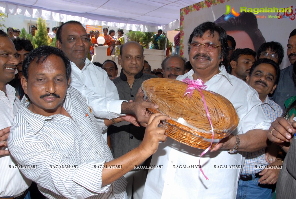 Dasari Narayana Rao 69th Birthday Celebrations