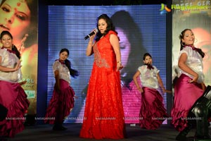 Telugu Pop album Desi Girl Launch Photos