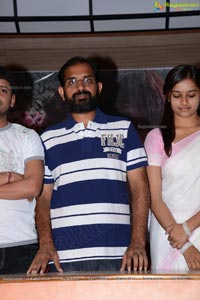 Mallela Theeramlo Sirimallepuvvu Audio Success Meet