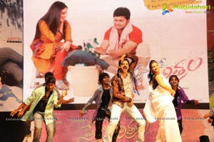 Premantene Chitram Audio Release